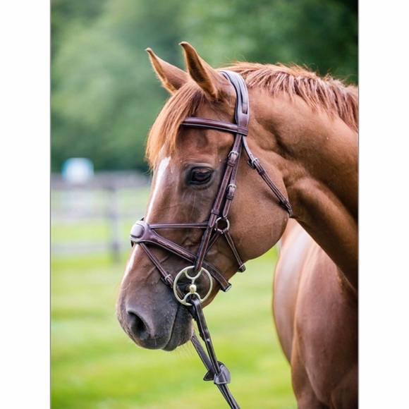 NUNN FINER Other - NUNN FINER ARIANNA COB BRIDLE WITH REINS